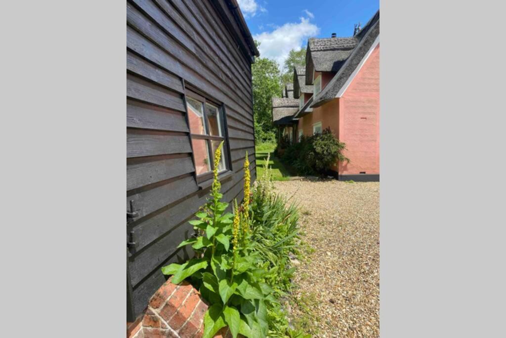 Gorgeous Comfortable Barn With Huge Private Orchard In Quiet Suffolk Location Depden Luaran gambar